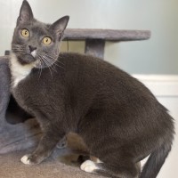 Photo of Herbie 