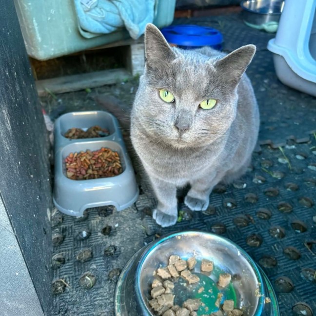 Photo of Maggie