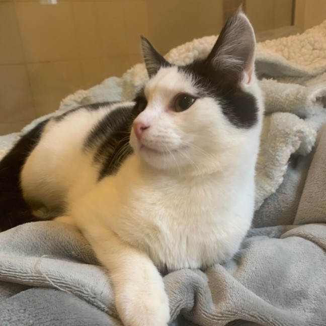 Photo of Max