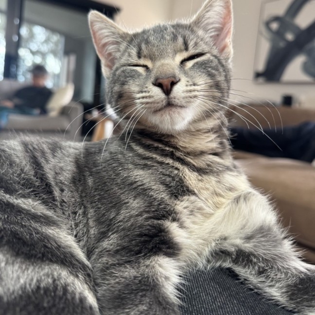 Photo of Flash