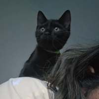 Photo of Cherry 🍒