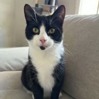 Photo of Ernie And Binx