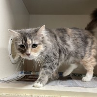 Photo of Fiona