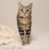 Photo of Lillia