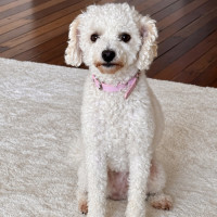 Photo of Donna
