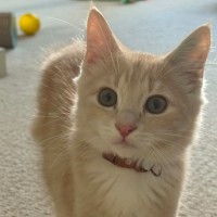 Photo of Greggie