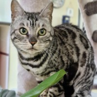 Photo of Tara And Fantasy 