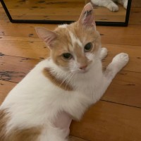 Photo of Lysandra And Aelin