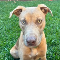 Photo of Belvita