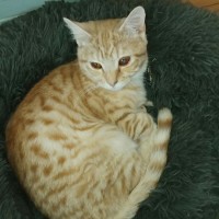 Photo of Kit