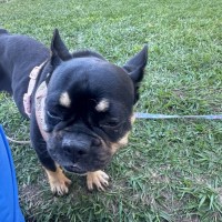 Photo of Cosmo