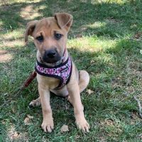 Photo of Jane Goodall