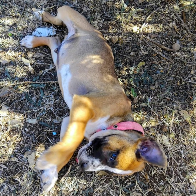 Photo of Bryn