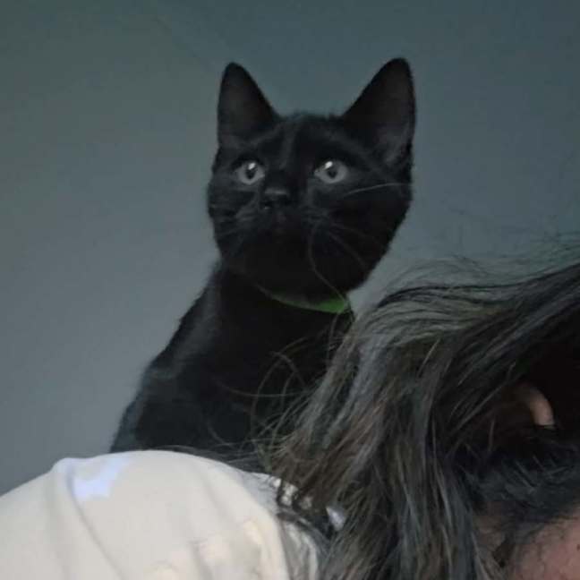 Photo of Cherry 🍒