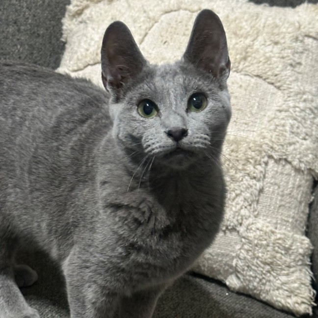 Photo of Elani 😻👑