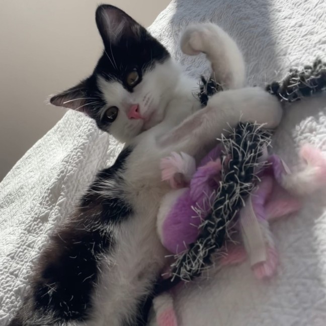Photo of Turbo