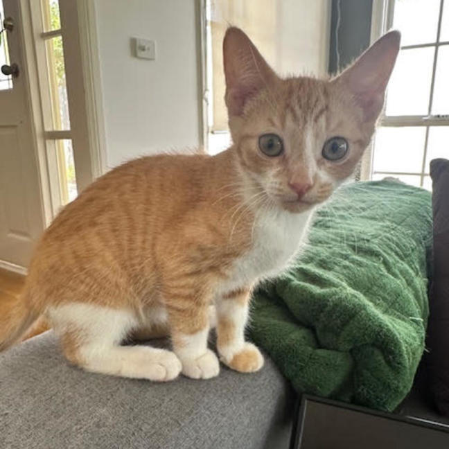 Photo of Lala