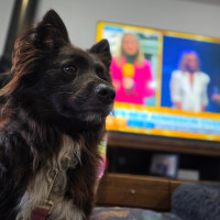 Photo of Charlie