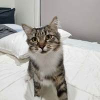 Photo of Sugar
