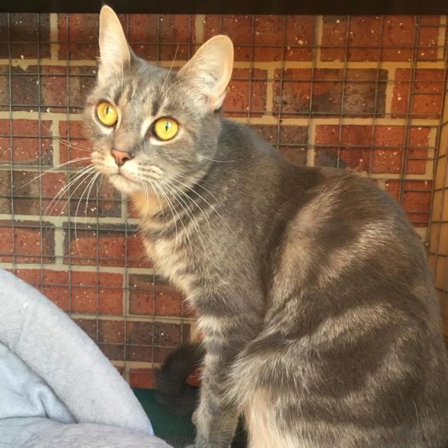 Photo of Tilly