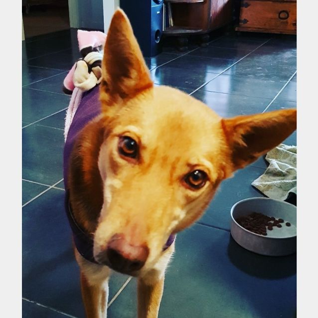 Photo of Hiedi