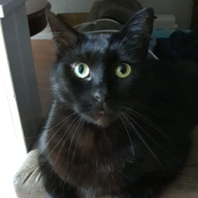 Photo of Hades