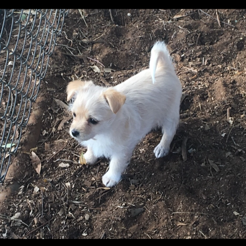 Casper