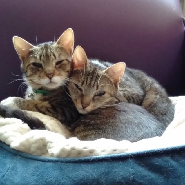 Photo of Dusk And Dawn