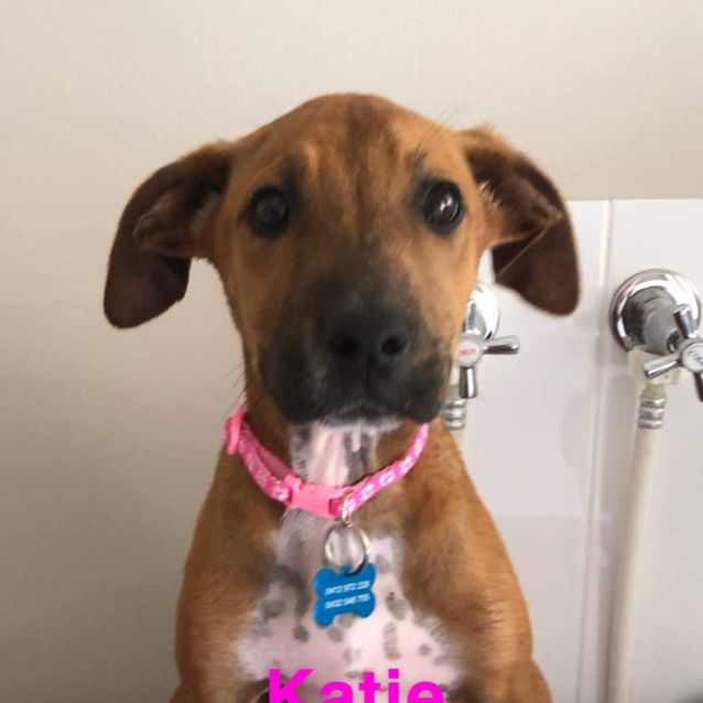Photo of Katie