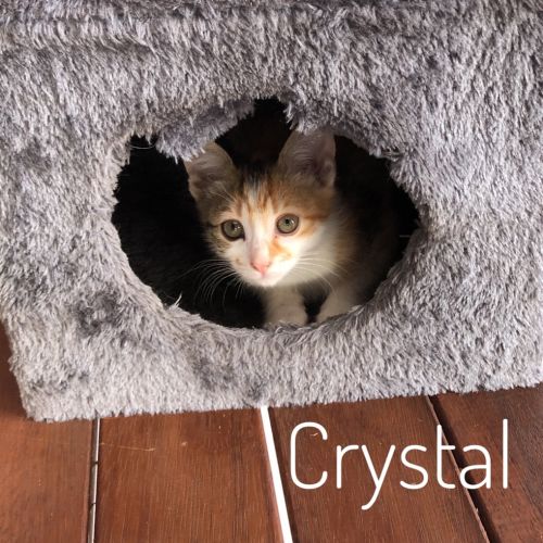 Crystal