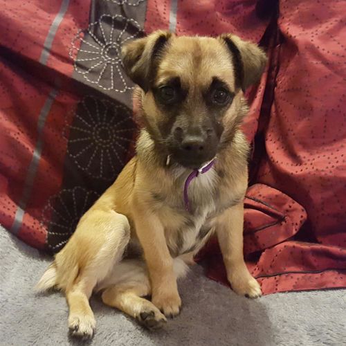 Skittles *On Trial in Her New Home*