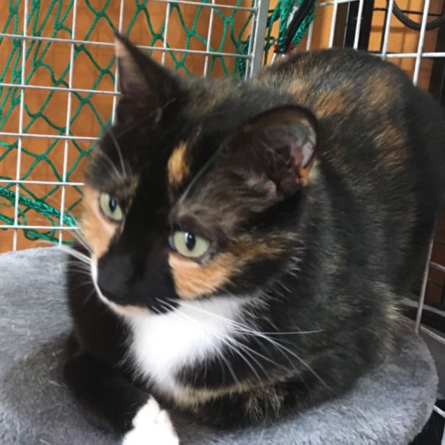 Photo of Edna (Eddie)