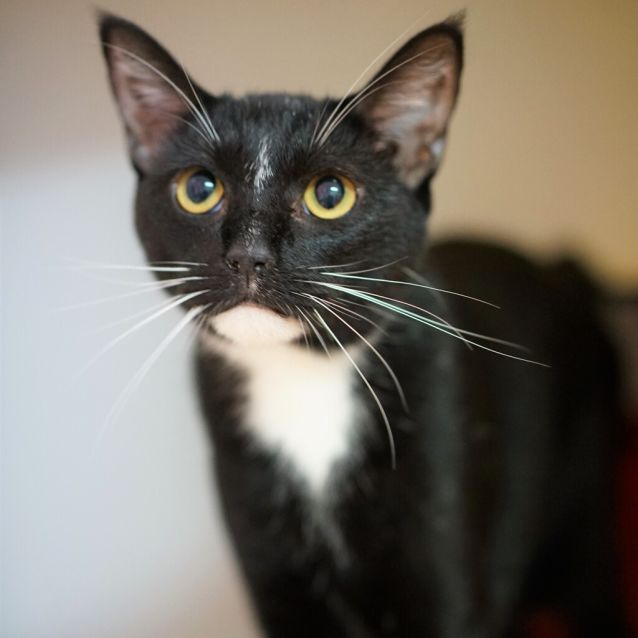 Photo of Bob