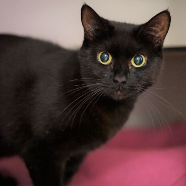Photo of Patty