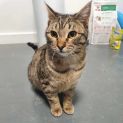 Photo of Matilda