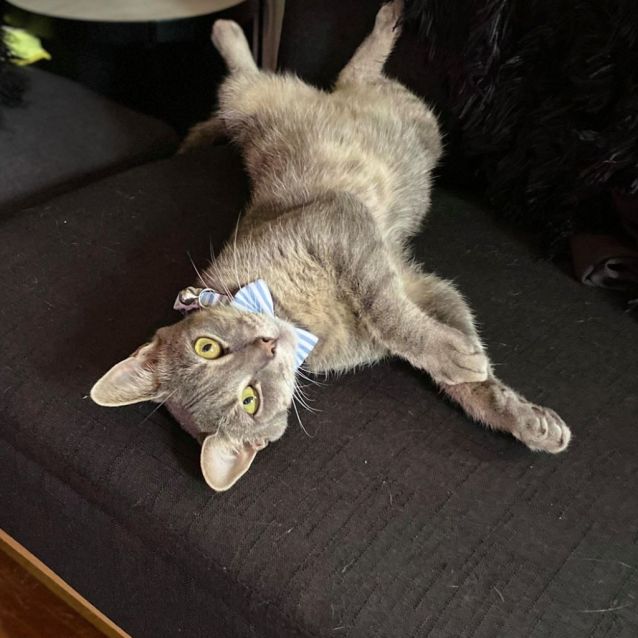 Photo of Ivy
