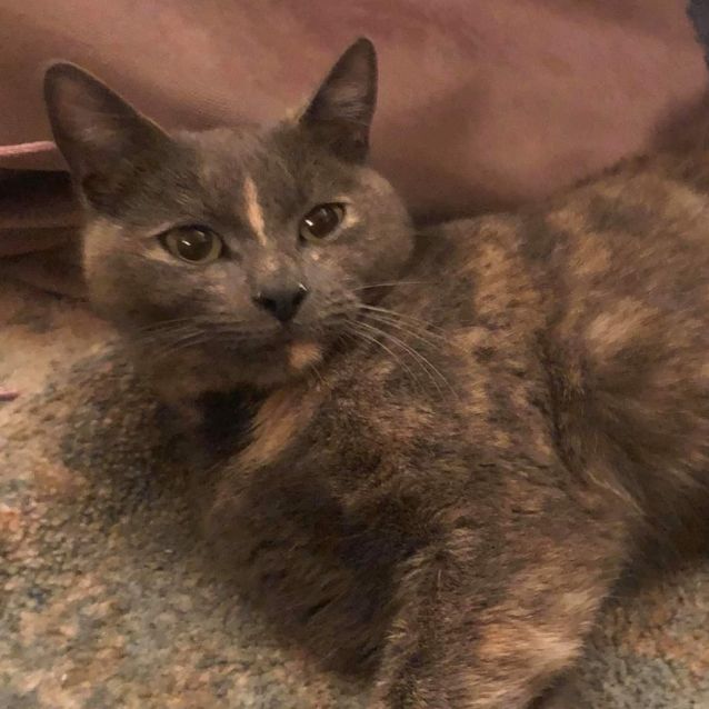 Photo of 💜💕Asha💕💜