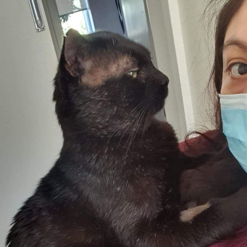 💋💋 Mack 💋💋