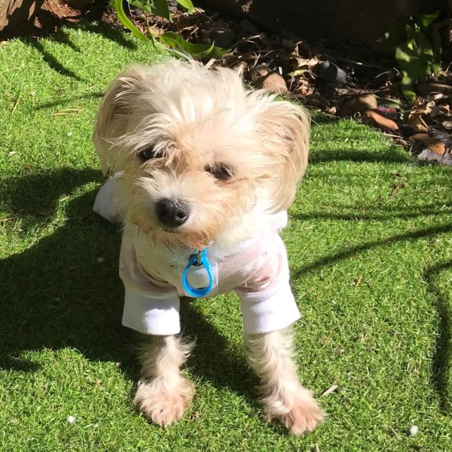 Photo of Missy 