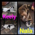 Photo of Keely And Nala