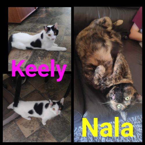 Keely and Nala