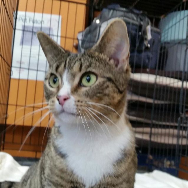 Photo of Maria Montez