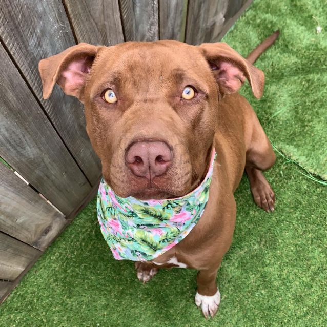 Photo of Jazz