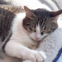 Photo of Millie