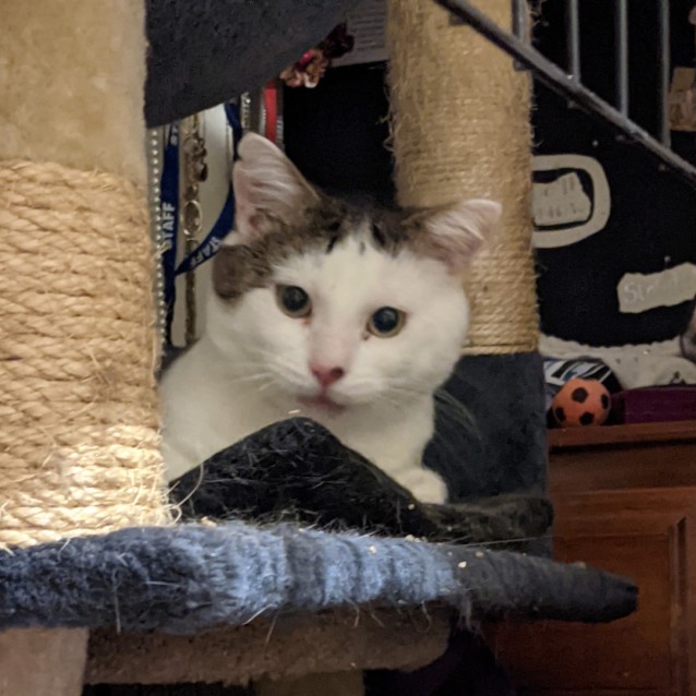 Photo of Danny   Located In Endeavour Hills