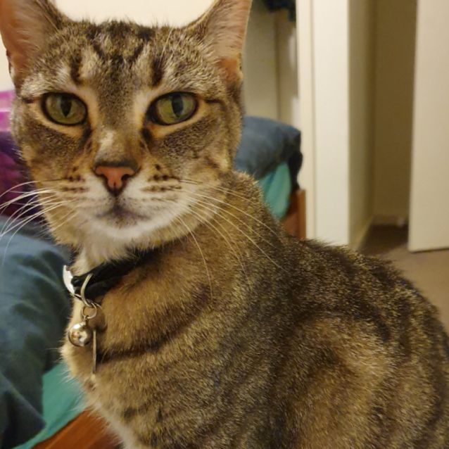 Photo of Tully