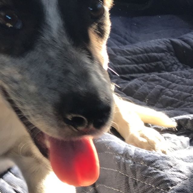 Photo of Brittany Spears Yep That's Me!