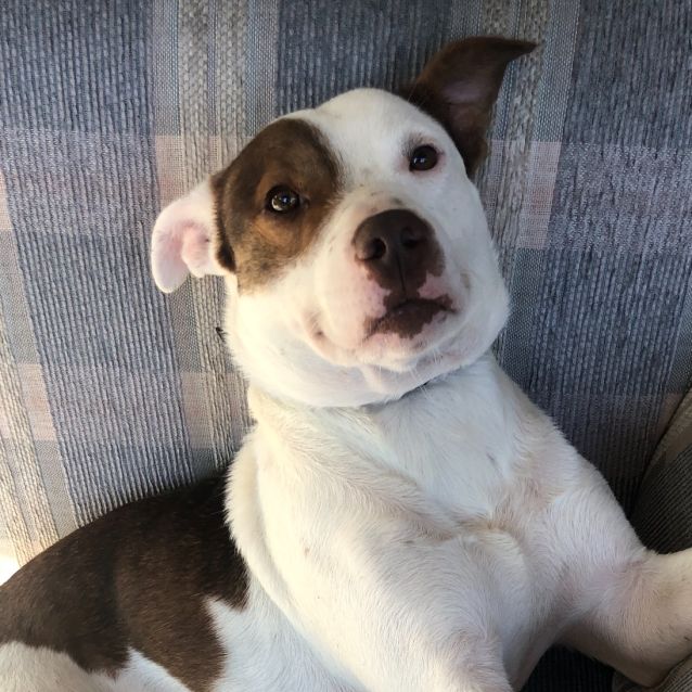 Photo of Gus