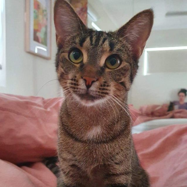 Photo of Sweetie 