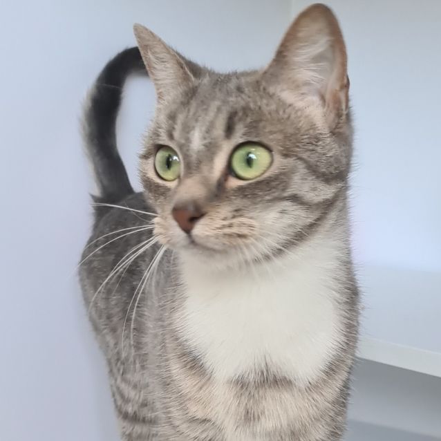 Photo of Elsa